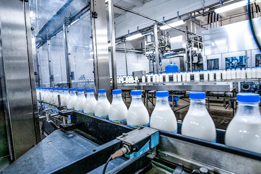 Dairy Industry